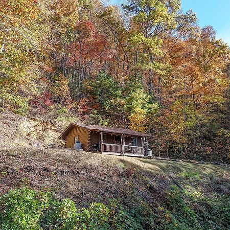 Villa Moonlight Ridge Cabin Bryson City Exterior foto